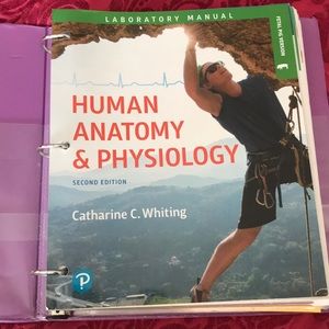Human anatomy and physiology second edition